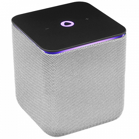 Умная колонка Яндекс Станция Миди с Zigbee Серый (YNDX-00054GRY)
