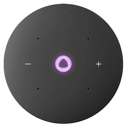 Умная колонка Яндекс Станция Мини 3 Серый (YNDX-00027GRY)