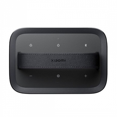 Акустика портативная Xiaomi Outdoor Bluetooth Speaker Camp 40Вт